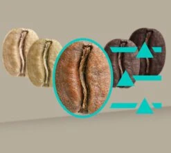 SIEMENS EQ.900 TQ905R03 Inox Garantie 3 Ans -Magasin De Machines À Café 8siemenseq900inox