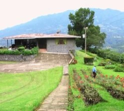 4x250g Café En Grain Bio La Esperanza - Cafés Lugat -Magasin De Machines À Café cafe grains esperanza colombie 3