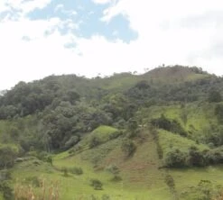 4x250g Café En Grain Bio La Esperanza - Cafés Lugat -Magasin De Machines À Café cafe grains esperanza colombie 5