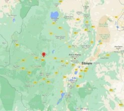 4x250g Café En Grain Bio - Ethiopie Moka Nekemte - CAFES LUGAT -Magasin De Machines À Café cafeengraincafeslugatethiopie