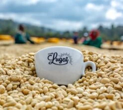 1 Kg Café En Grain Le Dark'n Sweet - Cafés Lugat 7 1 Kg Café En Grain Le Dark'n Sweet - Cafés Lugat -Magasin De Machines À Café cafeengraincafeslugatmarque