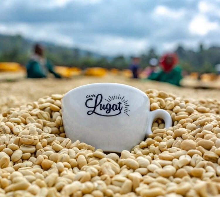 1 Kg Café En Grain Le Dark'n Sweet - Cafés Lugat 5 1 Kg Café En Grain Le Dark'n Sweet - Cafés Lugat – Image 3