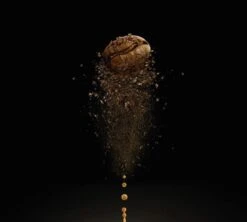 500gr Café En Grains Lavazza - Voix De La Terre For Amazonia Bio 6 500gr Café En Grains Lavazza - Voix De La Terre For Amazonia Bio -Magasin De Machines À Café cafeengraincartenoire2 11