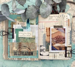 1kg Café En Grain 100% Arabica Moka Bio Ethiopie - DESTINATION -Magasin De Machines À Café cafeengraindestinationmarque