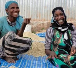 250 G- Café En Grain Dambi Uddo - LE PIANTAGIONI DEL CAFFE 13 250 G- Café En Grain Dambi Uddo - LE PIANTAGIONI DEL CAFFE -Magasin De Machines À Café cafeengrainlpdcdambiuddo1