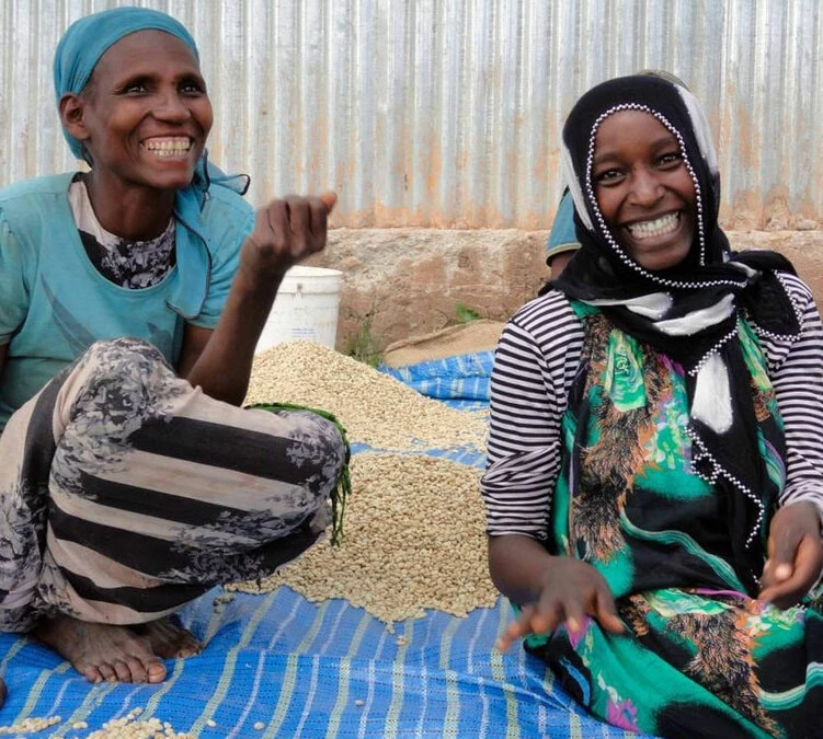 250 G- Café En Grain Dambi Uddo - LE PIANTAGIONI DEL CAFFE 8 250 G- Café En Grain Dambi Uddo - LE PIANTAGIONI DEL CAFFE – Image 6