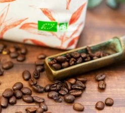 500g Café En Grain Bio Mexique Maison Taillefer 5 500g Café En Grain Bio Mexique Maison Taillefer -Magasin De Machines À Café cafeengrainmaisontaillefermexiquepackshot 3