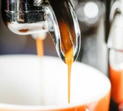 1 Kg Café En Grain Purissima - Perléo Espresso -Magasin De Machines À Café cafeengrainperleoespressopurissimaextraction