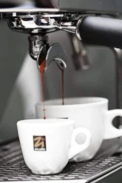 1 Kg Café En Grain Black Of Italy Zicaffè -Magasin De Machines À Café espresso zicaffe