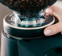 Moulin à Café Fiorenzato AllGround Noir Mat -Magasin De Machines À Café fiorenzato allground reglages