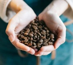 Café En Grains Brûlerie Du Cantin - Mélange Dégustation 100% Arabica - 250gr -Magasin De Machines À Café lifestyle grain 2