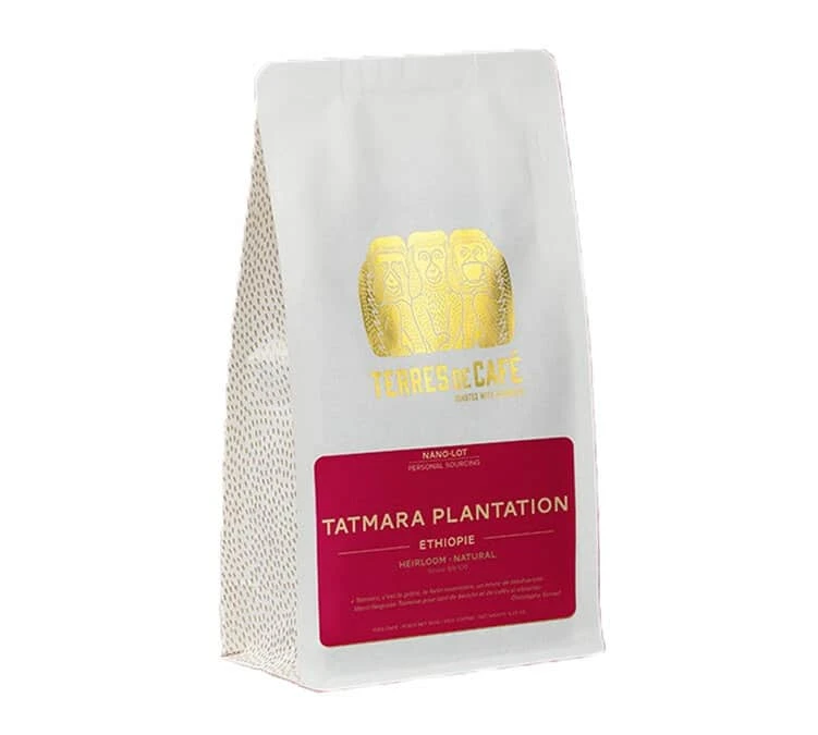 150g Café En Grains - Tatmara Ethiopie - TERRES DE CAFÉ 3 150g Café En Grains - Tatmara Ethiopie - TERRES DE CAFÉ